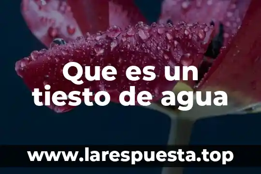 Que es un agua escondida y un augua vvirtual 3 Que es un tiesto de agua