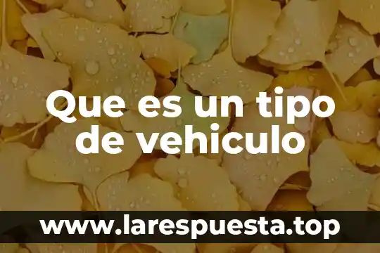 Que es un tipo de vehiculo