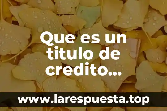 Que es un titulo de credito conforme a la ley