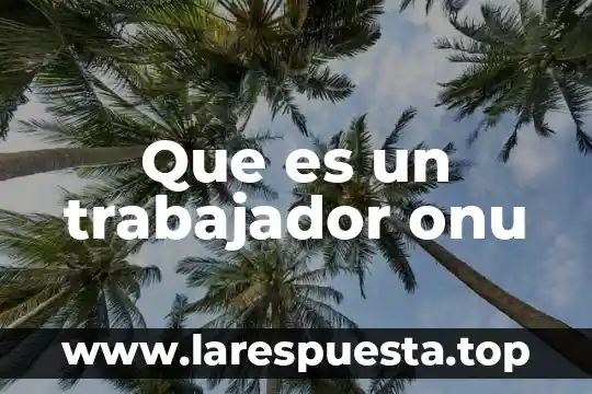 Que es falibilidad significado 7 Que es un trabajador onu