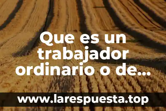 Que es una trabajador social 8 Que es un trabajador ordinario o de base