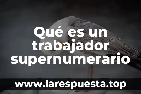 Que es una trabajador social 4 Qué es un trabajador supernumerario