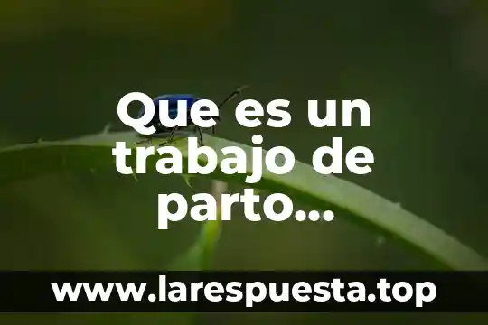 Teoria de mars weber que es 3 Que es un trabajo de parto prolongado