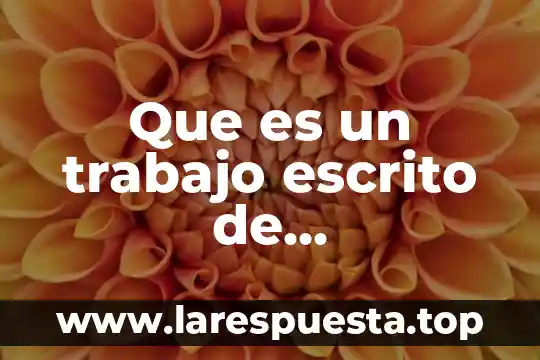 Que es un trabajo escrito de investigacion
