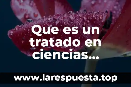 Que es negociacion de precios en un tratado comercial 8 Que es un tratado en ciencias sociales
