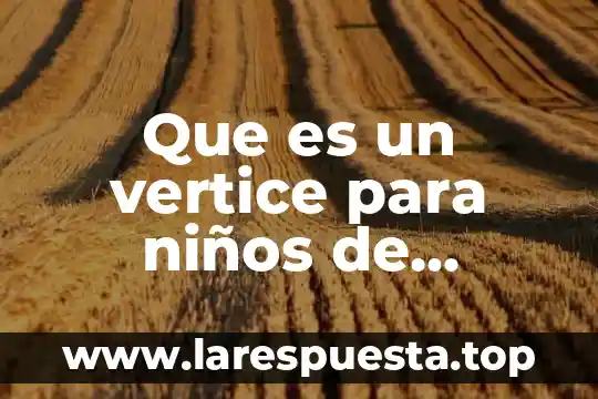 Que es fraccion primaria 7 Que es un vertice para niños de primaria