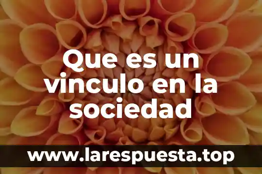 Que es un vinculo en la sociedad