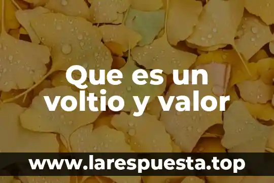 Que es el valor de rescate de un proyecto 6 Que es un voltio y valor