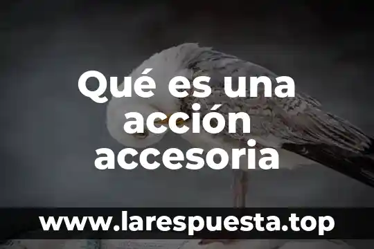 Qué es la acción dramaturgica 3 Qué es una acción accesoria