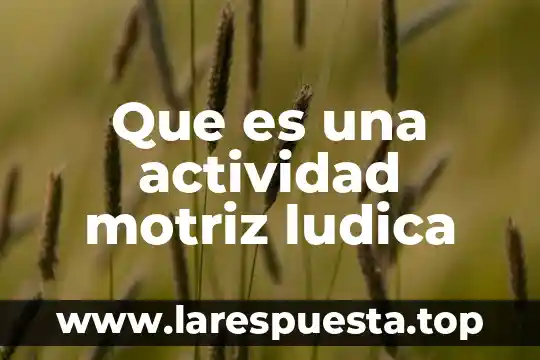 Que es un marco metodologico slideshare 7 Que es una actividad motriz ludica