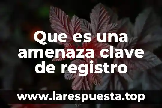 Que es una amenaza clave de registro