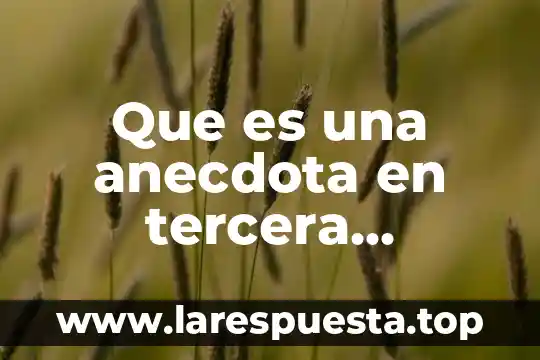 Que es una anecdota en tercera persona