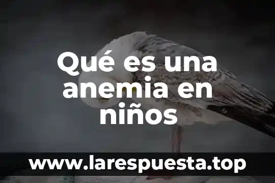 Qué es enfermedad la anemia 8 Qué es una anemia en niños