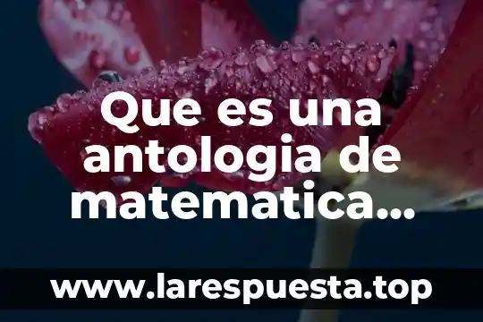 Que es un angulo positivo en matematica 8 Que es una antologia de matematica definición