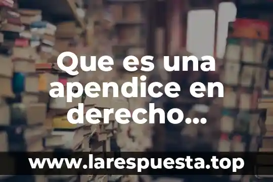 Que es una apendice en derecho internacional