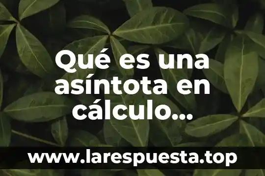 Qué es cálculo diferencial ensayo 5 Qué es una asíntota en cálculo diferencial