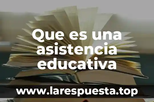 Que es una asistencia educativa
