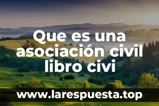 Que es una asociación civil libro civi