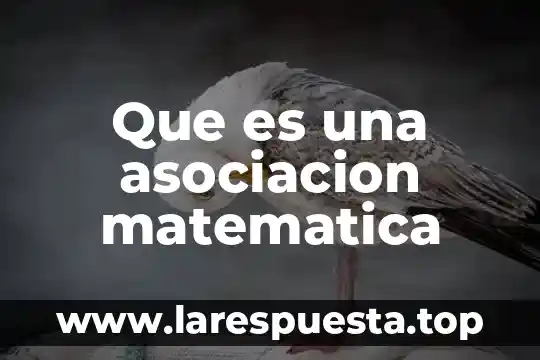Qué es lider según la asociación psicología americana 5 Que es una asociacion matematica