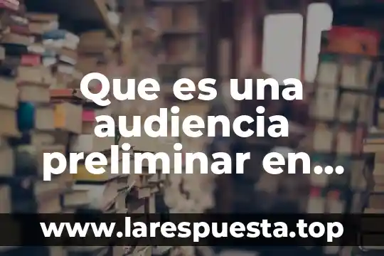 Que es una audiencia preliminar en costa rica