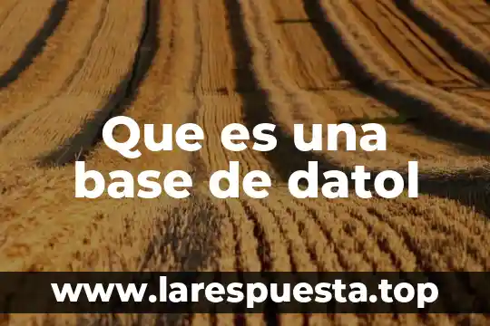 Que es multidimensionalidad base de datos 8 Que es una base de datol