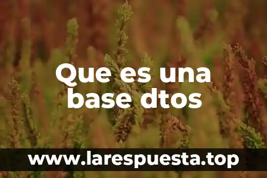 Que es multidimensionalidad base de datos 5 Que es una base dtos
