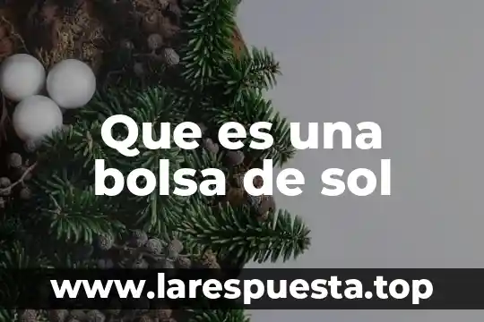 Bolsa familiar que es 4 Que es una bolsa de sol