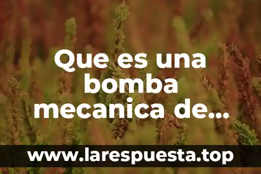 Que es la bomba de sodio y potasio en biologia 5 Que es una bomba mecanica de combustible