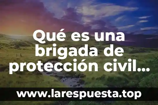 Qué es una brigada de protección civil para niños