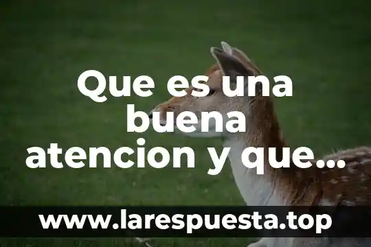 Para que es buena la cebolla en escabeche 6 Que es una buena atencion y que la compone