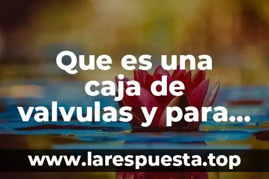 Que es y para que sirve el potencial de accion 8 Que es una caja de valvulas y para que sirve