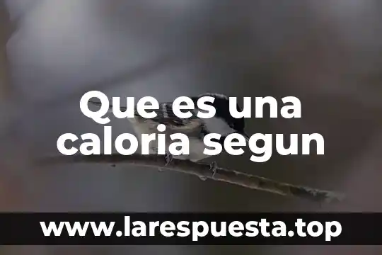 Que es una caloria segun
