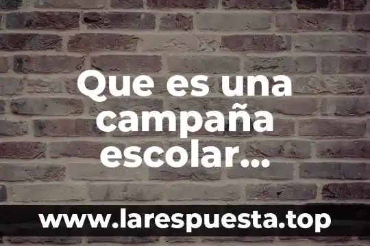 Que es una campaña escolar significado
