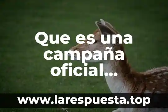 Que es una campaña oficial definicion