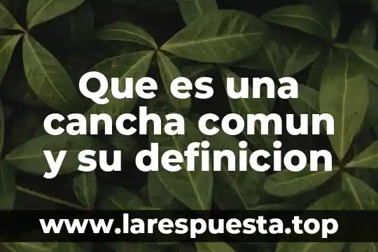 Que es una cancha comun y su definicion