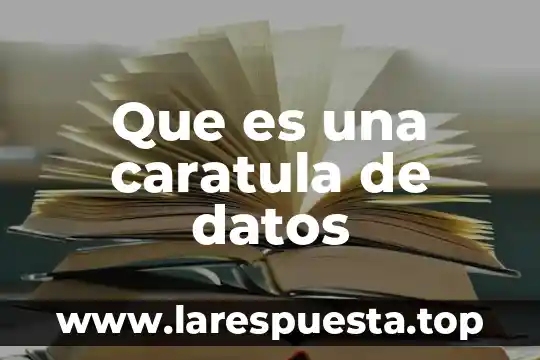 Que es una caratula de documentos 3 Que es una caratula de datos