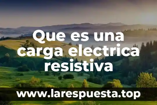 Que es buffer de carga en electroforesis y tipos 5 Que es una carga electrica resistiva