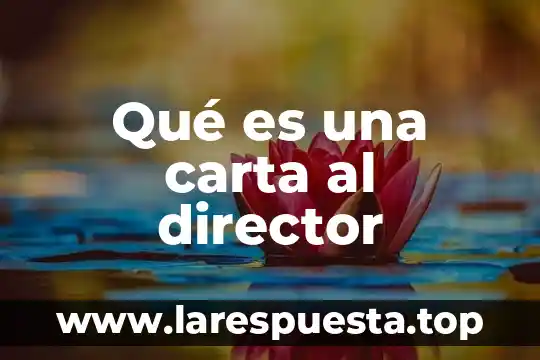 Qué es una carta al director