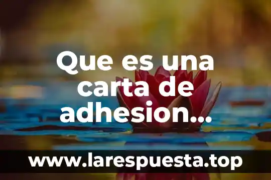Que es una carta de adhesion condiminal