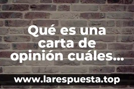 Qué es una carta de opinión cuáles son sus características