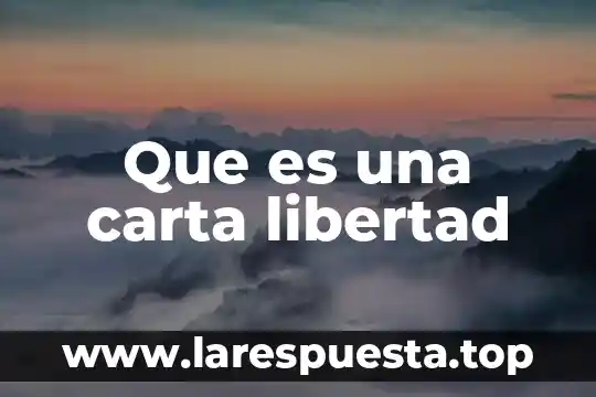 Que es una carta libertad