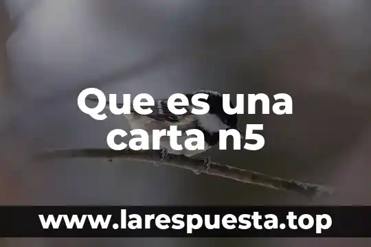Que es una carta n5