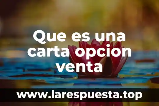 Que es una carta opcion venta