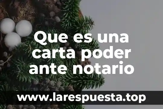 Que es la energia de poder 3 Que es una carta poder ante notario