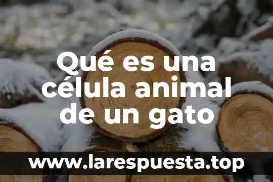 Qué es una célula animal de un gato