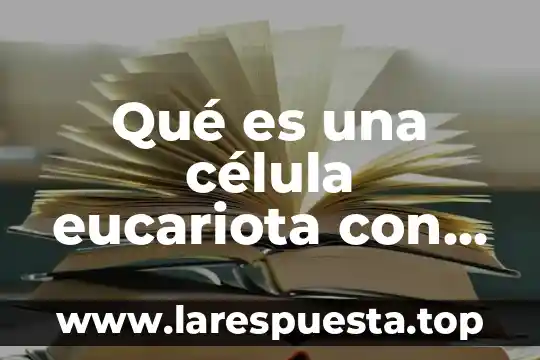 Qué es el núcleo de la célula eucariota y procariota 7 Qué es una célula eucariota con cloroplastos