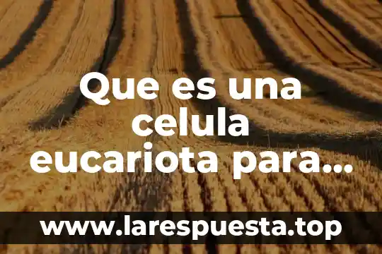 Qué es el núcleo de la célula eucariota y procariota 5 Que es una celula eucariota para niños