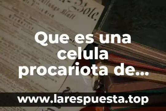 Que es lo que contiene la celula 3 Que es una celula procariota de dibujo para coloriar