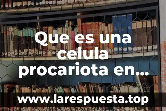 Que es una celula procariota en biologia