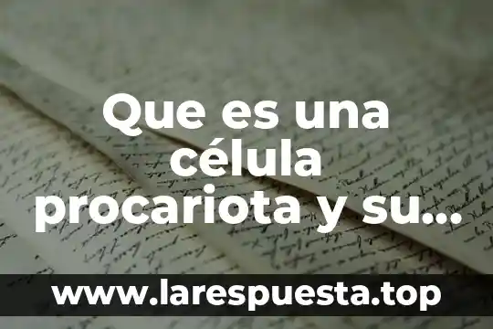 Investigar que es procariota 7 Que es una célula procariota y su estructura